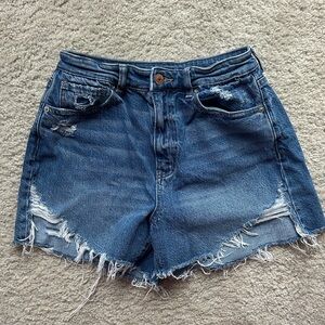 American Eagle Outfitters High Rise Mom Shorts Size 6